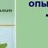 Обезболивающий лосьон ТЭЙ ФУ стоит купить и всегда иметь в своей аптечке