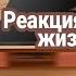 Реакция друзей Наруто на его прошлую жизнь Наруто Дазай 1 1