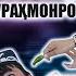 САЪДИ РАКСИ ДУХТАРИ КАРД МАЧБУР ЗАНЧАБИЛРО ХУРД ЧАРО САЪДИ АБДУРАХМОНРО ЗАД