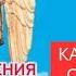 Откровения Ангелов Хранителей Начало 1 Любовь Панова Как изменить свою судьбу Читает Таль Ман