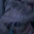 SHAKE IT TO THE MAX SKILLIBENG MOLIY SHENSEA SILENT ADDY Slowed Reverb Pitched X Hood Mr Beast