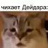 как чихает Дейдара дейдара мем