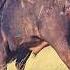 Buffalo Gives Up Its Tail To Escape Hyenas