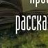 Аудиокнига Олег Гор Просветленные рассказывают сказки часть 8