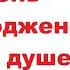 Поздравление с Днем рождения на украинском З Днем Народження побажання у віршах