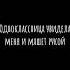 Вай мама кто это пёс