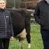Tirlán Announces New Milk Solids Growth Programme