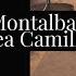 Salvo Montalbano Di Andrea Camilleri Analisi