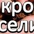 Какие микробы поселить в почве
