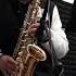 Italian Songs Medley Sax Alto смешанные итальянские песни на саксофоне Cover Rinosax