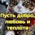 Счастливой зимы С добрым зимним утром Красивая музыкальная открытка