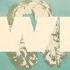 Lainey Wilson WWDD Lyric Video