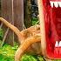 Testing The Scariest Real Gorilla Tag Myths