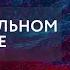 Бесполезные идиоты или Тупой и еще тупее Константин Бондаренко Дикий LIVE