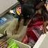 От меня не спрячешь Dog Pets собака Funny юмор Like Follow Funnydog Topnews Top Trend Follow