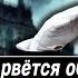 Пока Пугачёва рвётся обратно в РФ Странно из богатой Англии бегут миллионеры