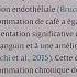 La Caféine N Est Pas Un Booster De NO Contrairement à Ce Qui Est écrit Sur Les Pré Workout