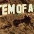 Toxicity System Of A Down 8D