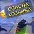 Спасла хозяина собака спасение защита нападение защитник