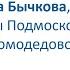 ВИДЕОВИЗИТКА Ольга Бычкова г о Домодедово Патриоты Подмосковья