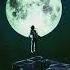 Fitz And The Tantrums Man On The Moon Visualizer