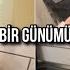 Almanyada Günlük Vlog Artık Yoruldum Depresyona Girdim Desteklerinizi Bekliyorum