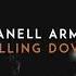 Danell Arma FALLING DOWN