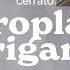 Andrea Cerrato AEROPLANI ORIGAMI Official Lyric Video