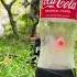 The Coca Cola Bottle That Hit The Train Shorts