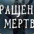 Обзор фильма Возвращение живых мертвецов 2 ПОСМОТРЕНО