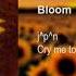 ｊ ｐ ｎ Ｂｌｏｏｍ