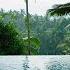 8 Hours Tropical Swimming Pool Ambience Exotic Palm Trees 4K Video