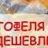 СЕМЕНА ЭЛИТНОГО КАРТОФЕЛЯ В 6 РАЗ ДЕШЕВЛЕ И В 10 РАЗ ЛУЧШЕ