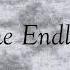 The Endless Would I Lie To You David Guetta Vs Live Your Life Head Hunterz
