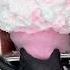 GIANT Freeze Dried Cotton Candy Super CRUNCHY SATISFYING Asmr Freezedried Candy Satisfying