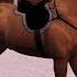 Сериал 2 дня с Элькой 3 серия финал Sims 3 Horse