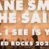 Shane Smith The Saints All I See Is You Live At Red Rocks