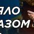 Что стояло за приказом Президента Токаева стрелять на поражение