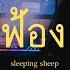 ฟ อง Sleeping Sheep Cover