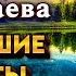 Зульфия Чотчаева Лучшие хиты Шансон Юга