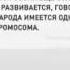 Лишняя хромосома Непарная