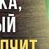 Жаль Мне не сказали РАНЬШЕ Просветляющие цитаты Али ибн Абу Талиба