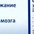 Реклама Глицин форте Эвалар 2018 2019 спонсор метеовыпуска