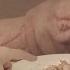 Calexico Falling From The Sky Official Music Video