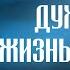 Что есть духовная жизнь и как на нее настроиться Ч2 свт Феофан Затворник