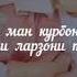 Jumaboy TJ Модарам чону дилам