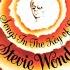 Stevie Wonder Isn T She Lovely Extended Mix