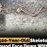 2 500 Year Old Skeleton Found Face Down With Its Hands Bound Technews