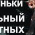 Морские коньки Удивительный мир животных Discovery