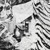 A Front Line View Of Jungle Warfare Ambushes Air Support In The Vietnam War Audiobook